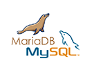 mysql